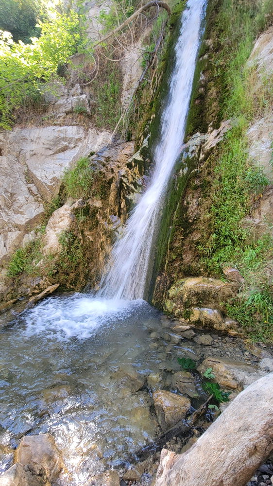 Lewis falls was Mid