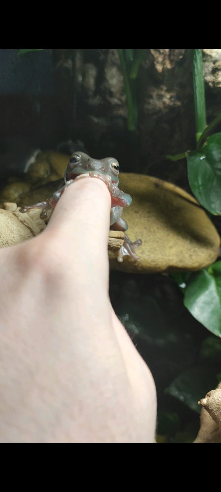 She hungers