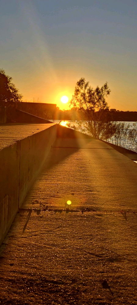 Naturaleza y ciudad