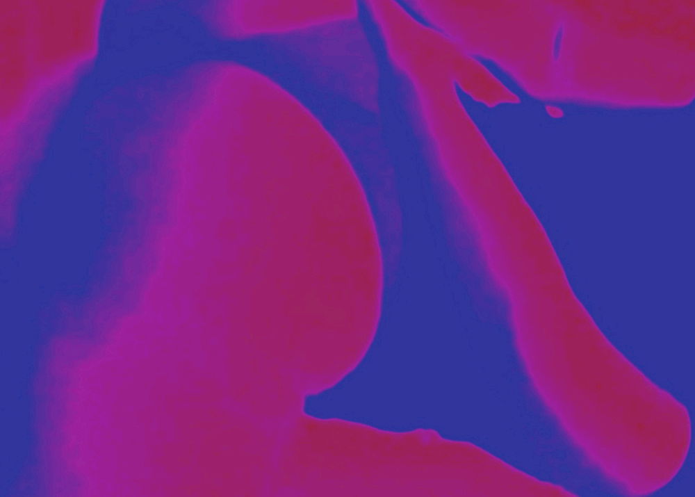 ༺❁༻𝕾𝖚𝖇 𝖚𝖒𝖇𝖗𝖆 𝖆𝖊𝖘𝖙𝖆𝖙𝖎𝖘༺❁༻