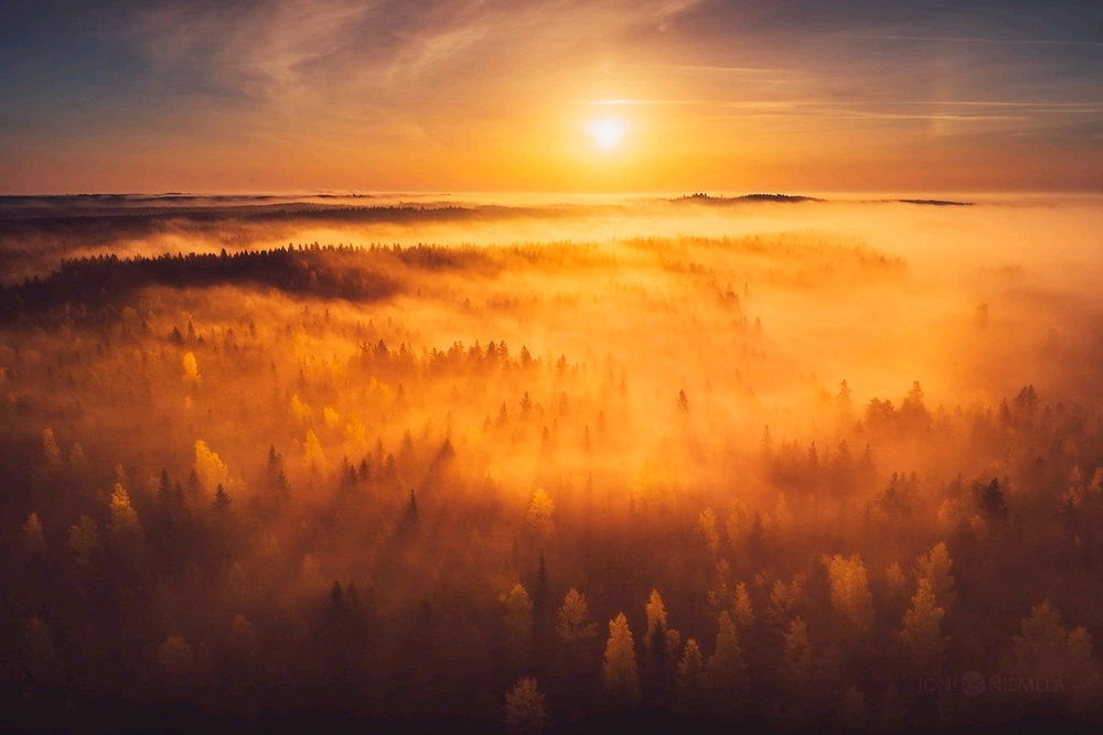 Всем доброго и приятного воскресенья!)✨☀️
