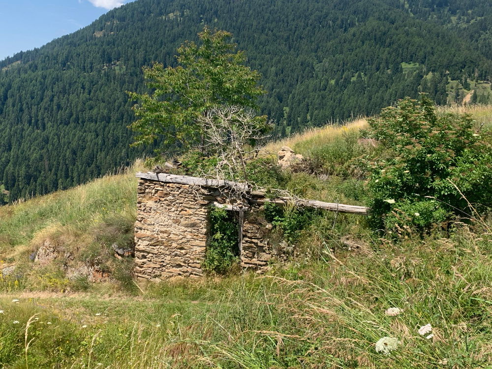 Camminata con scorci stipendi