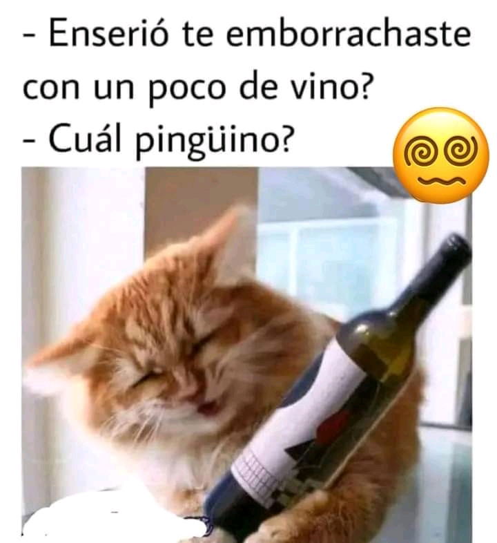 🐒