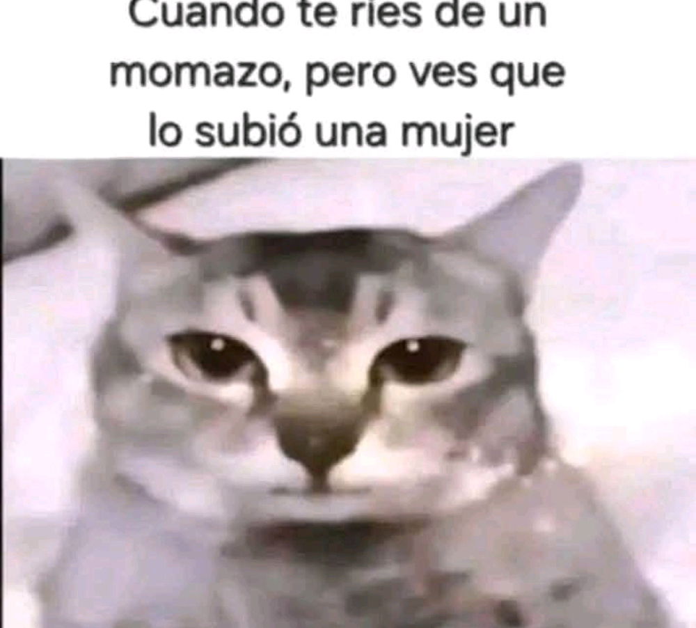 Oo