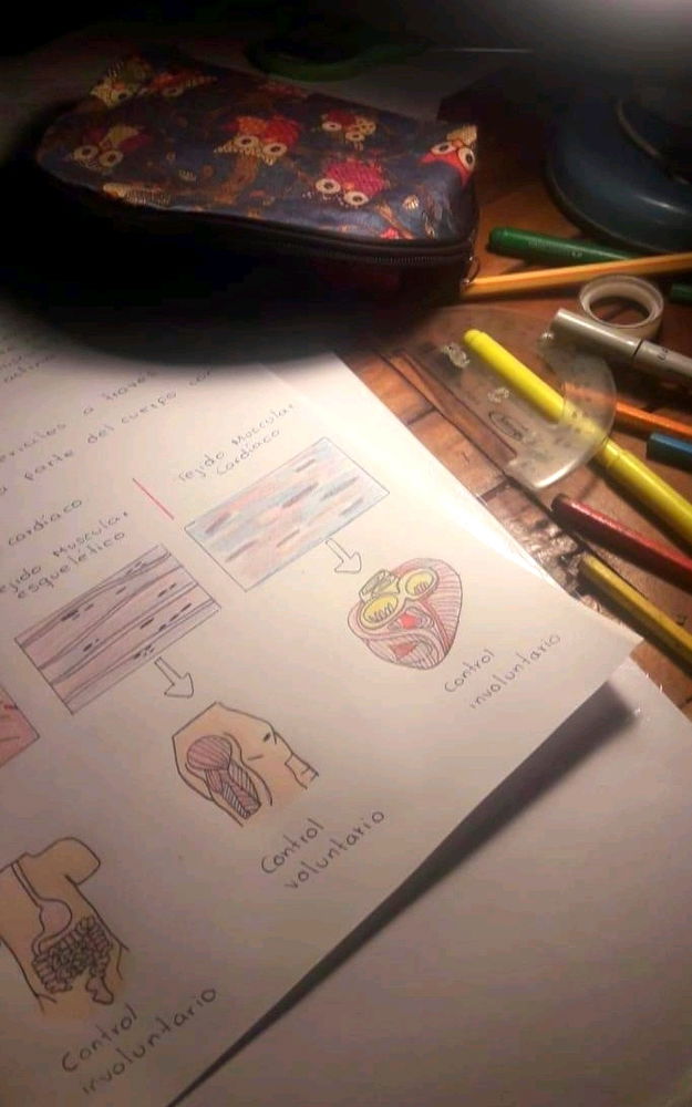 Hobby