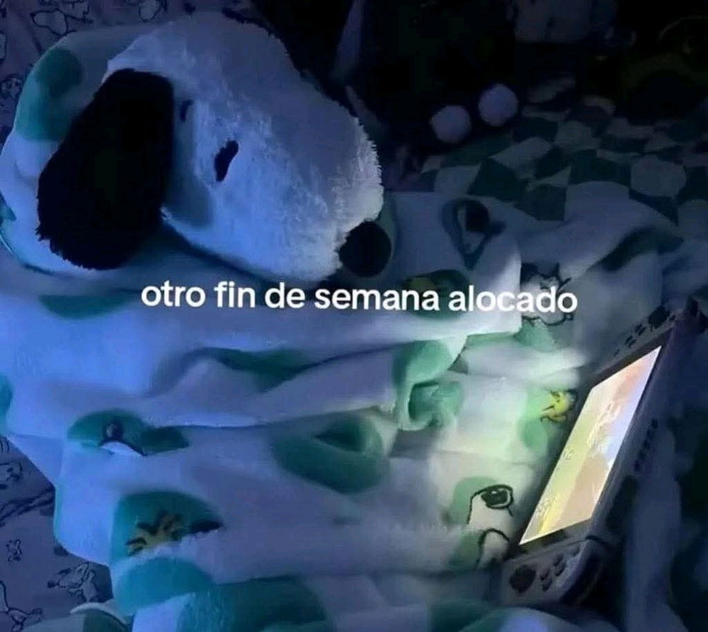 Que hacen? 👀👀