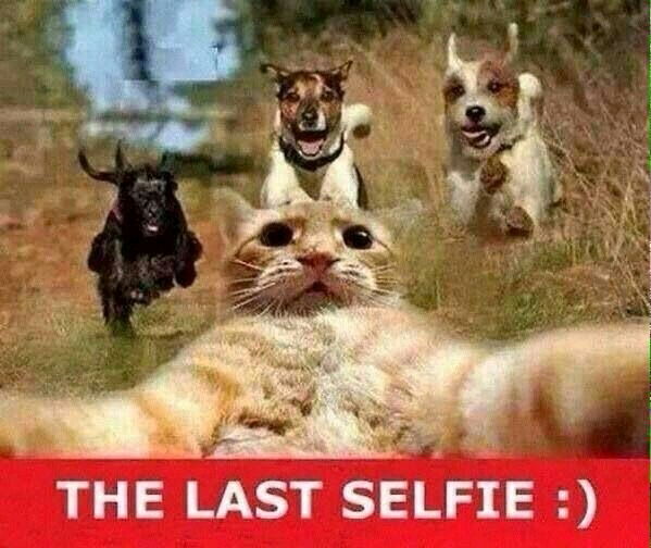 ☀️😂