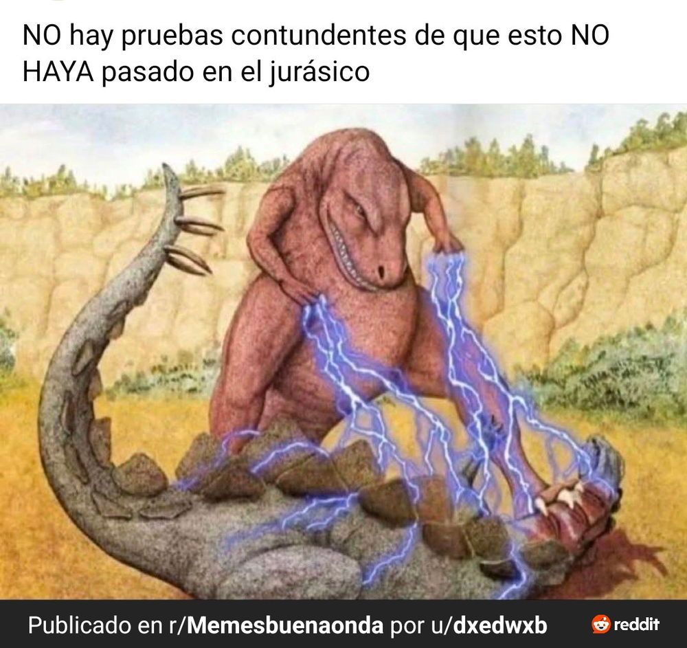 Xd