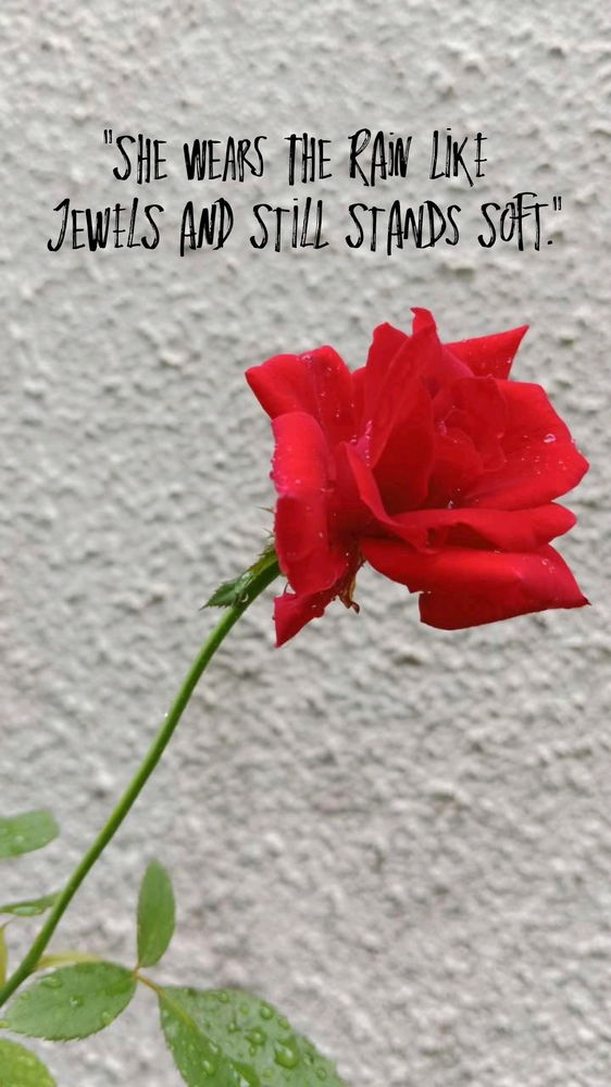 "She wears the rain like jewels and still stands soft."
😋😘😍🥰
Har Har Mahadev 🔱 🙏