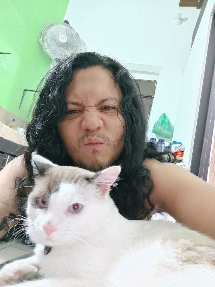 Michi Enojado😾