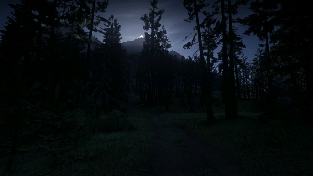 Rdr2