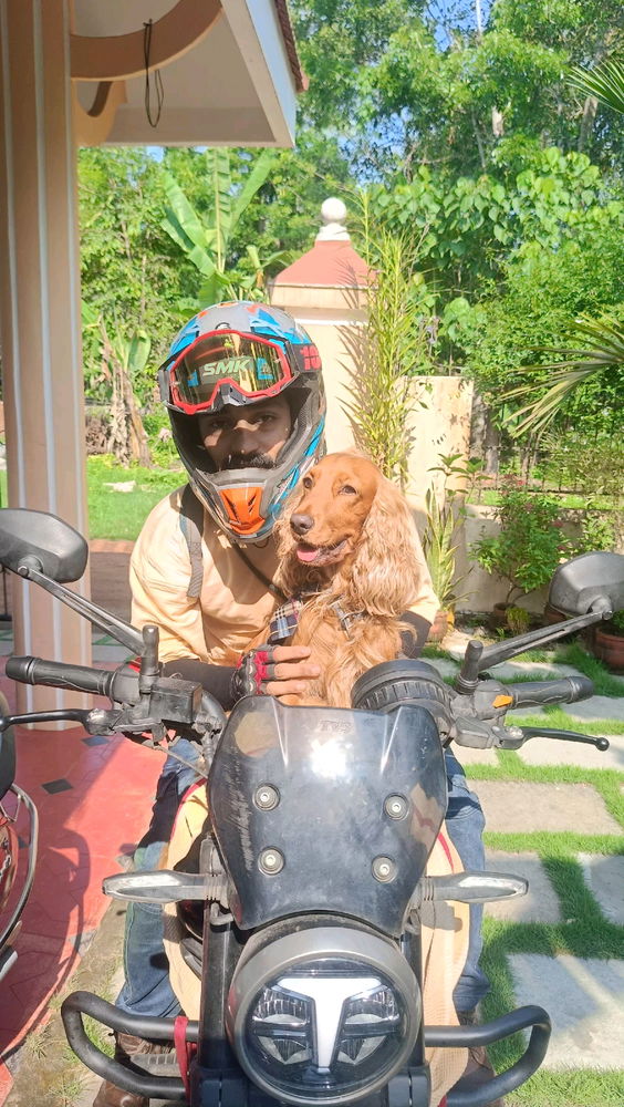 Itachi is ready for a bike trip