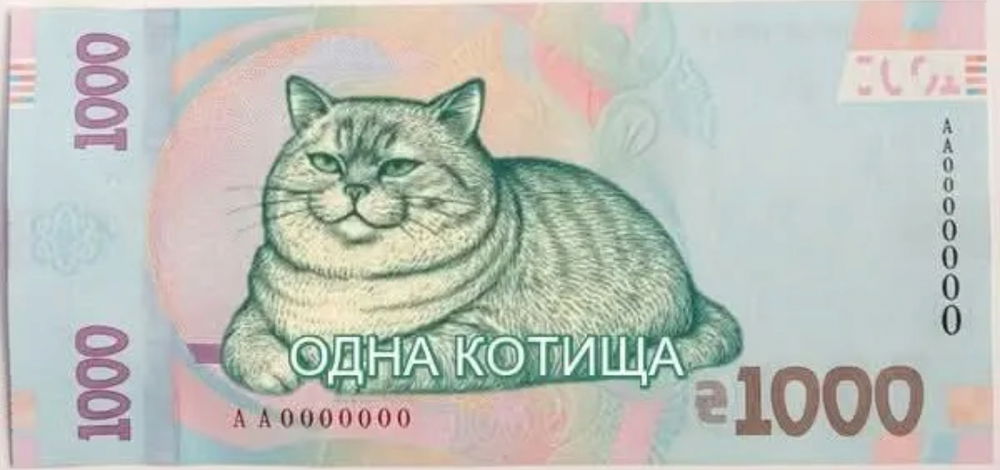 😼