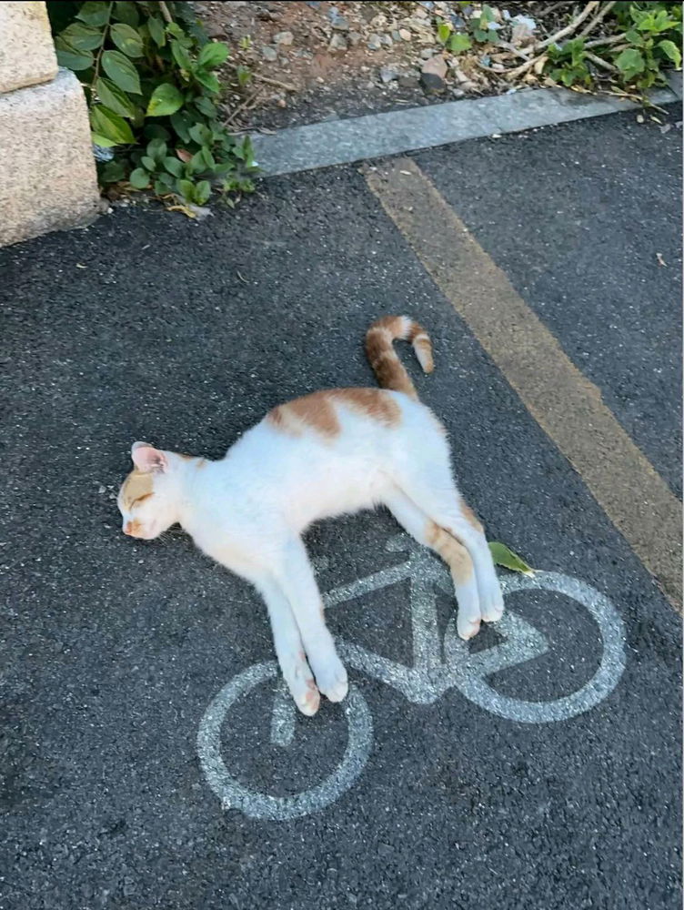 quien nunca aprendio a andar en bici?