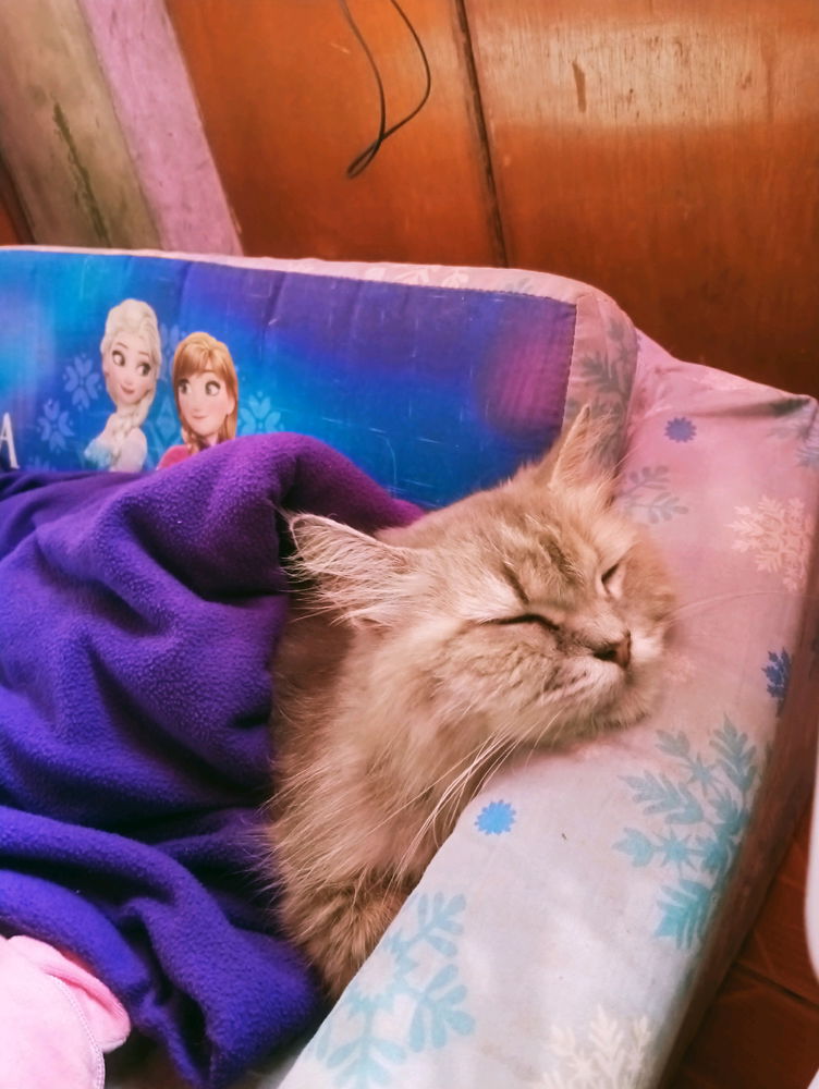 Sleepy mama