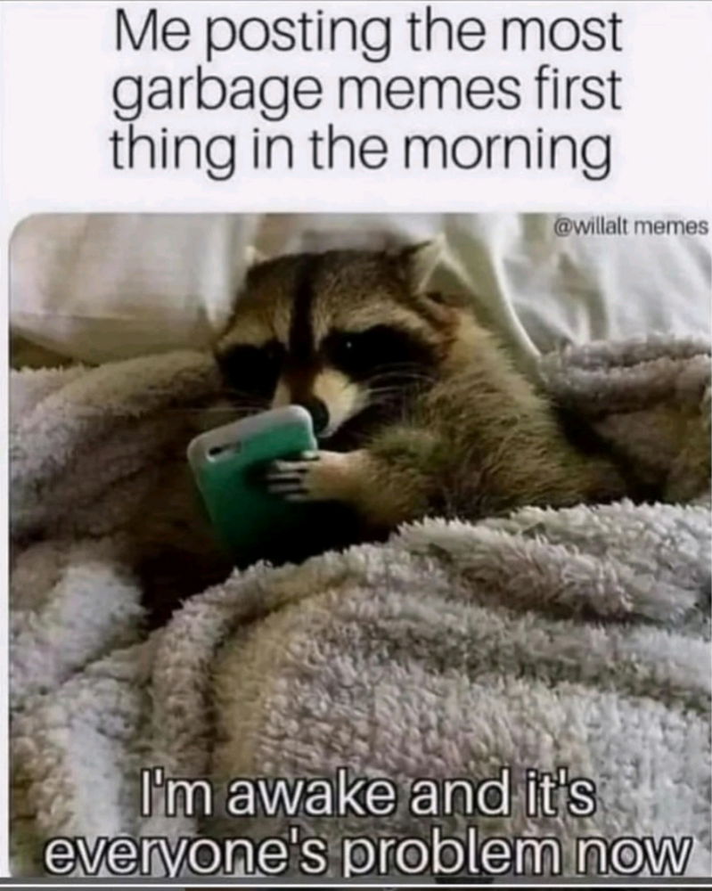 😹😹☕