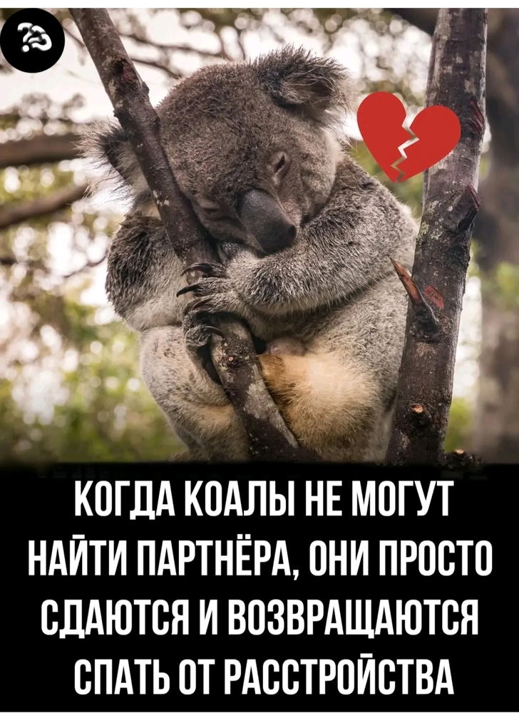 Интересная схема