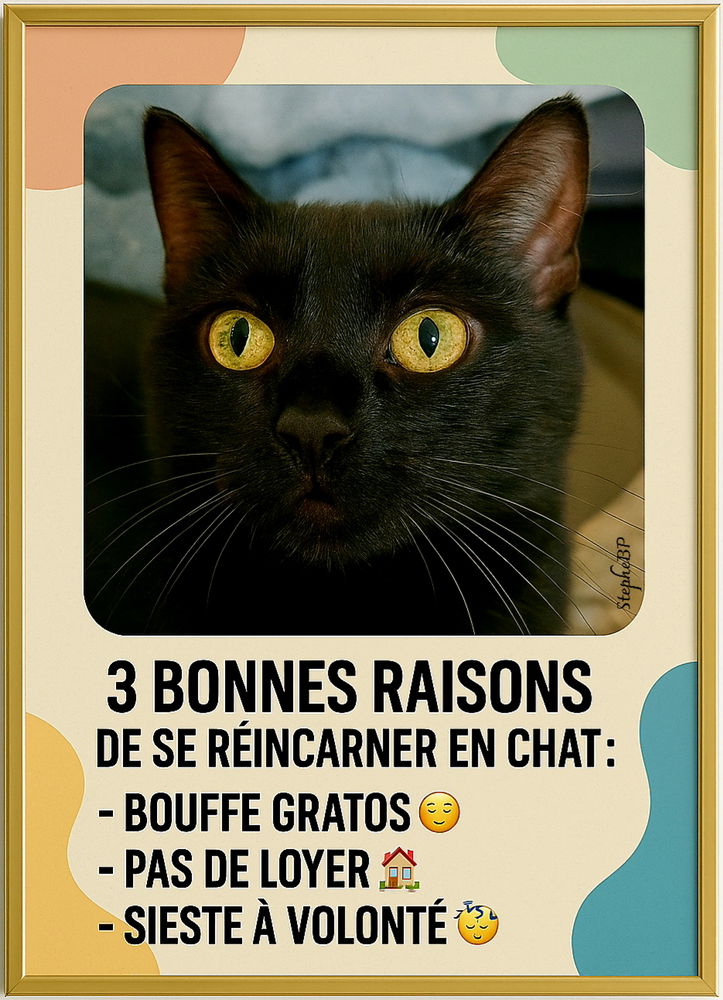 L'info Réré