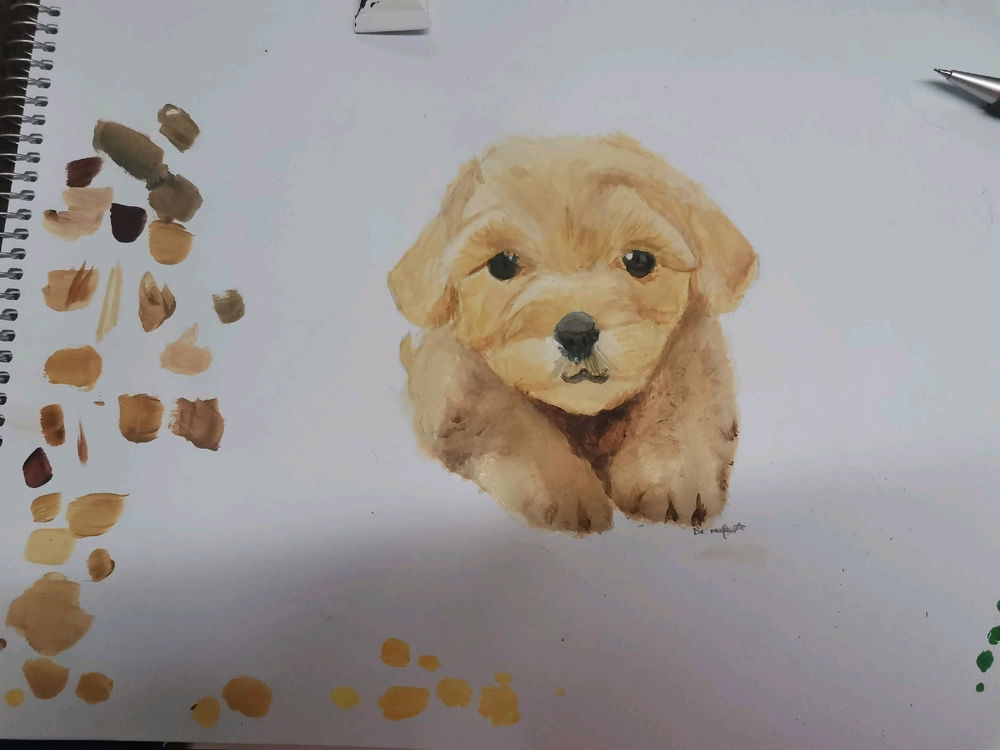 Se llama tomy, falleció hace 1 año