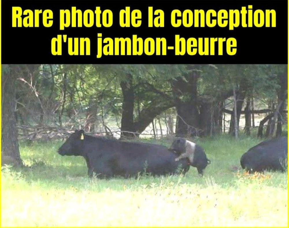 Bonjour et bon dimanche 👋😜