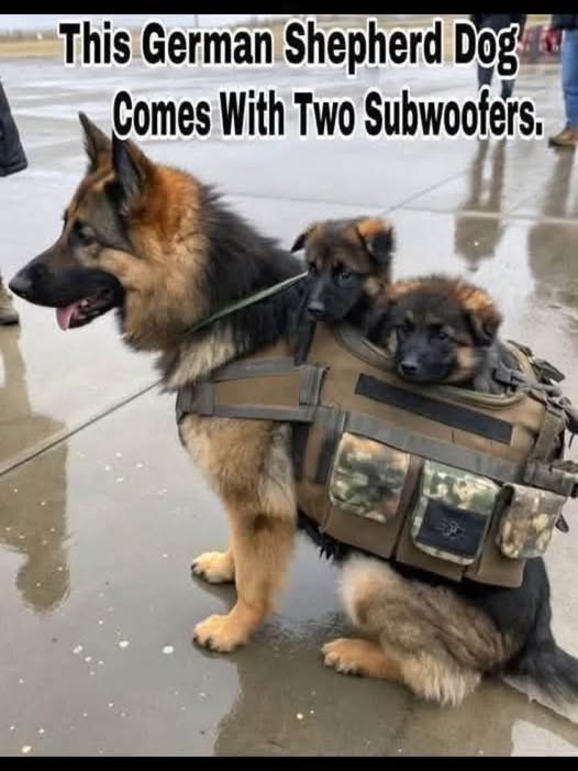 Subwoofers...
