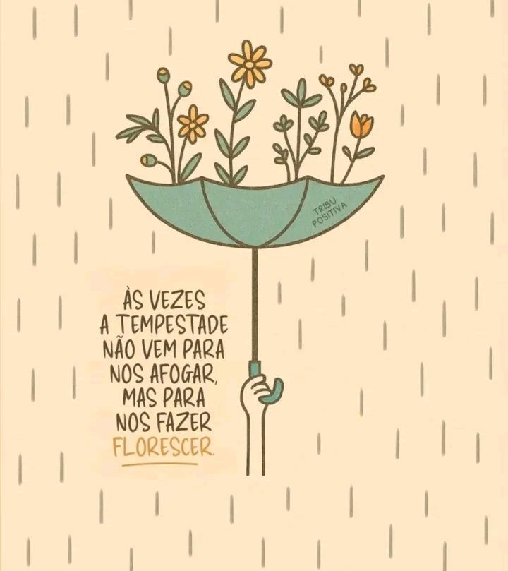 Bom diaa ☀️