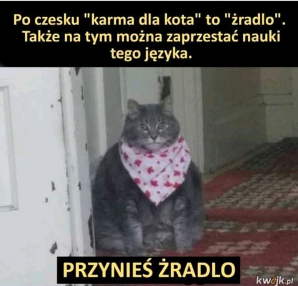 😺