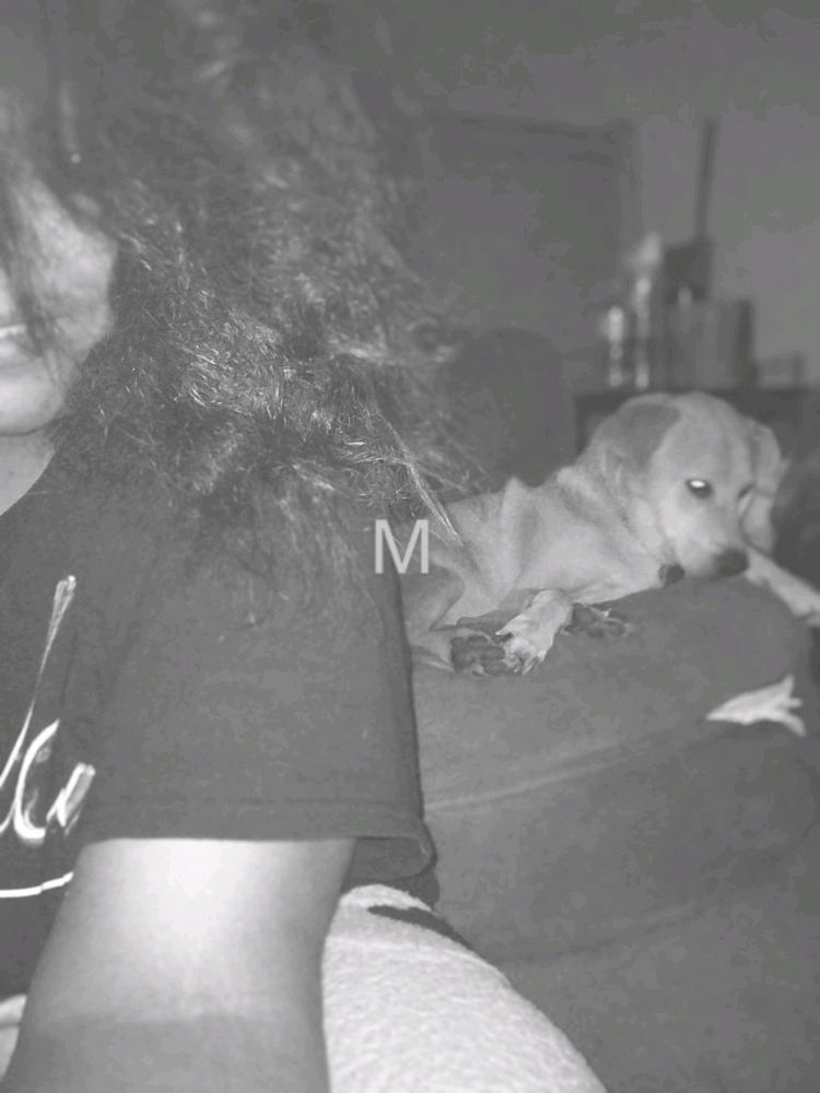 New