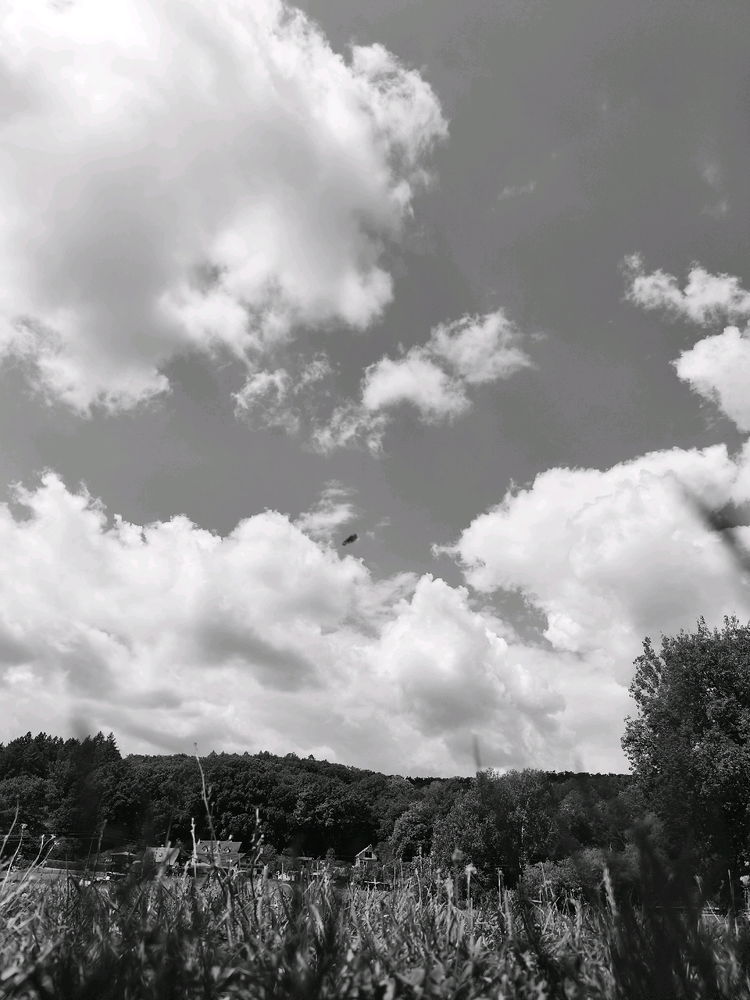 B&W