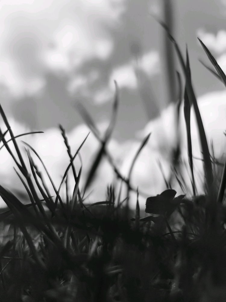 B&W