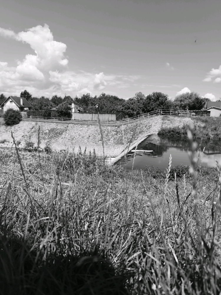 B&W