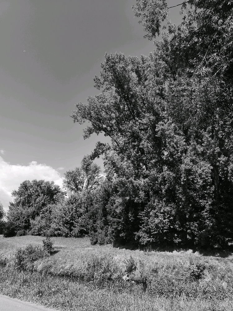 B&W