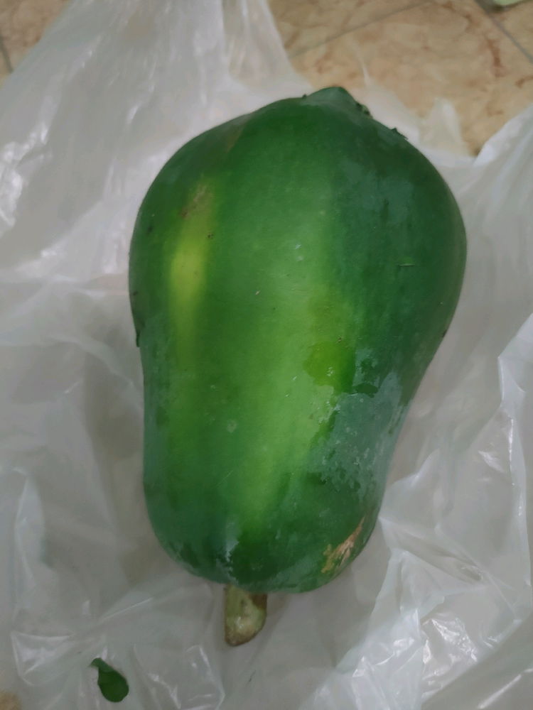 Harvest from the garden