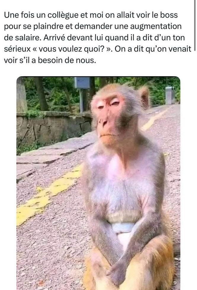 🤧