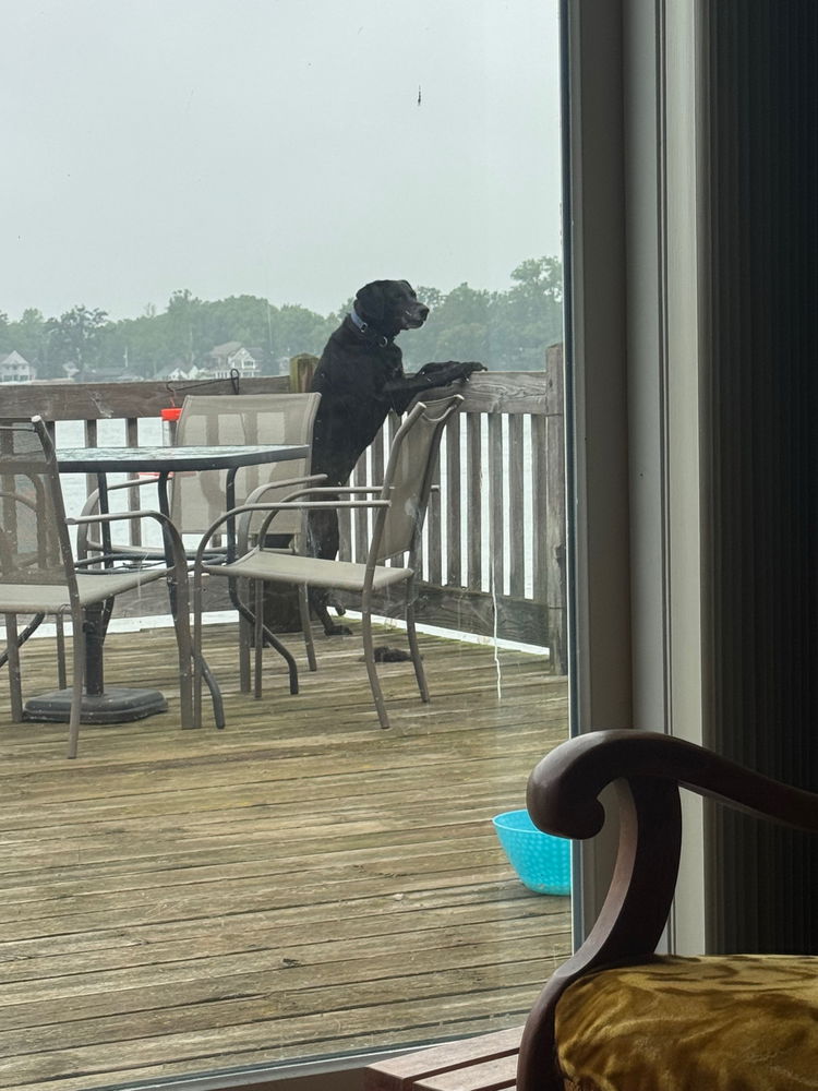 Porter