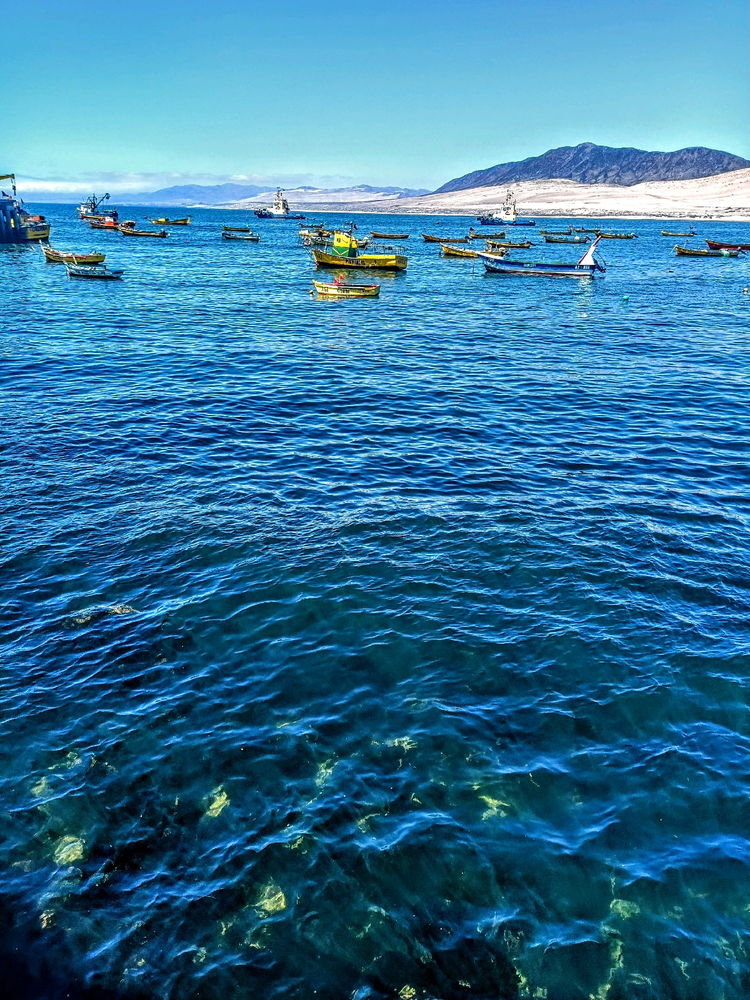 Huasco, Chile 🇨🇱