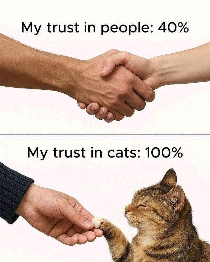 40% is high though 🙄