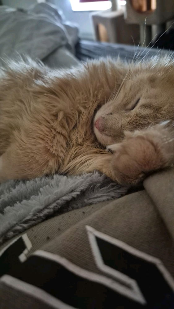 KIRA