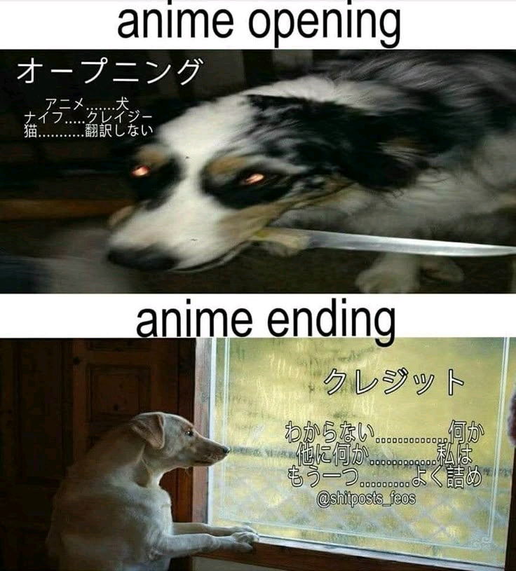 The drama of it all
