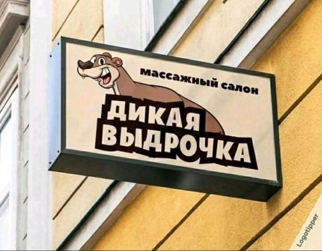 Welcome!