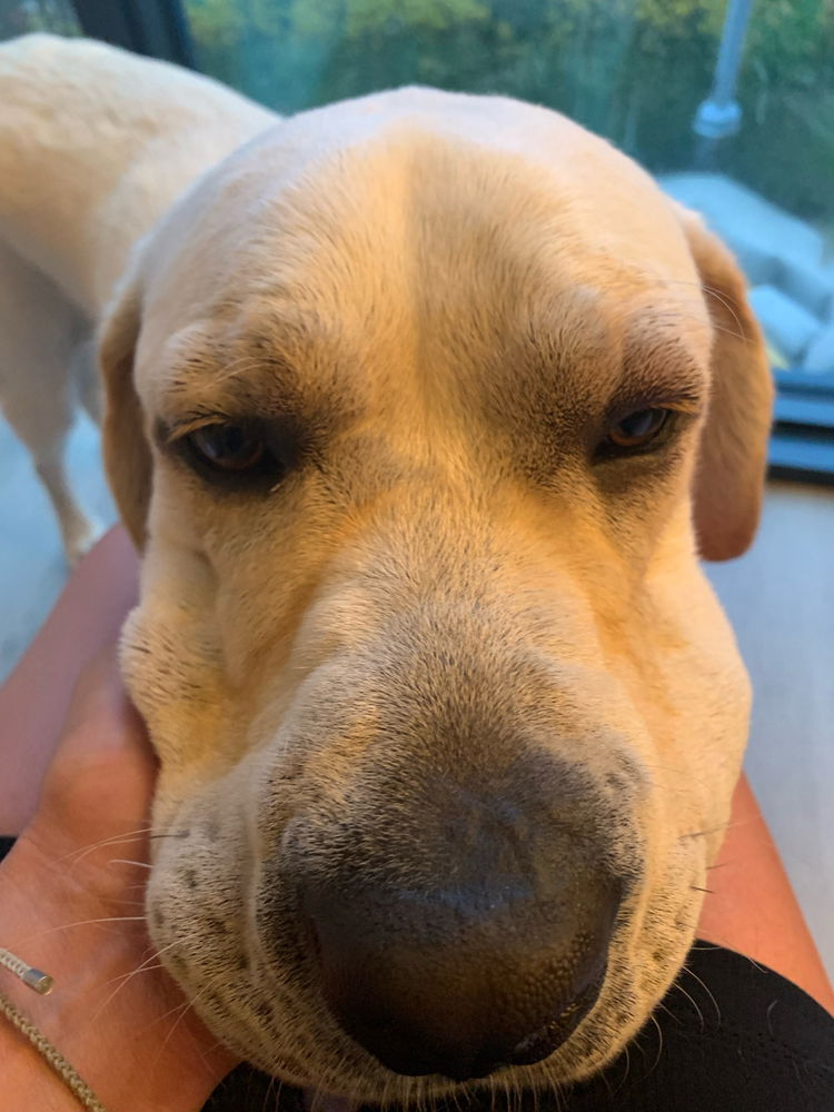 Hi Dad - Second Look
