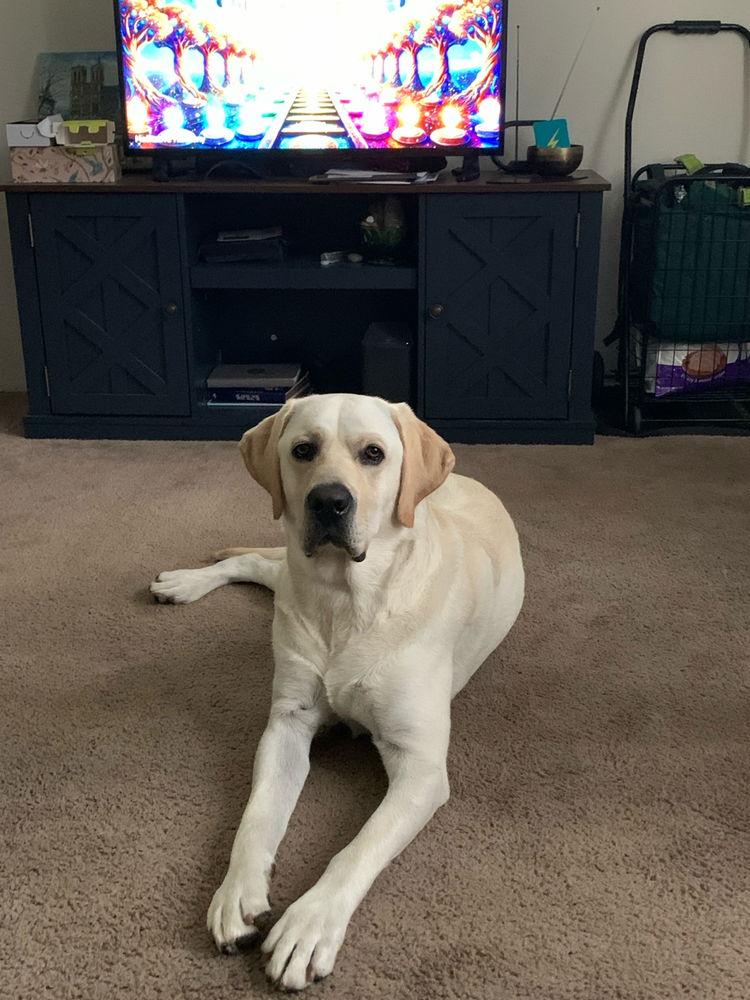 Hi Dad - Second Look