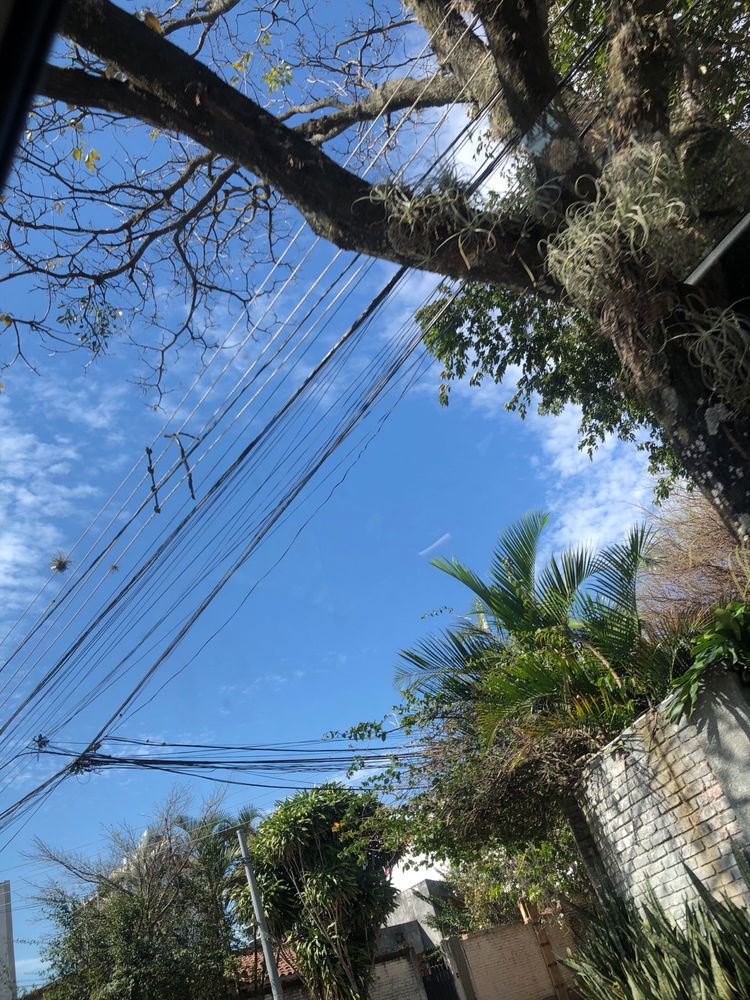 Un lindo día soleado