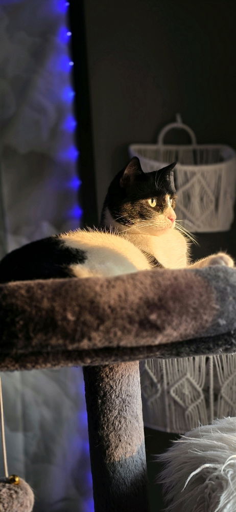 Isn't he handsome