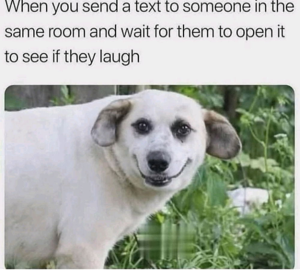 🫢😅