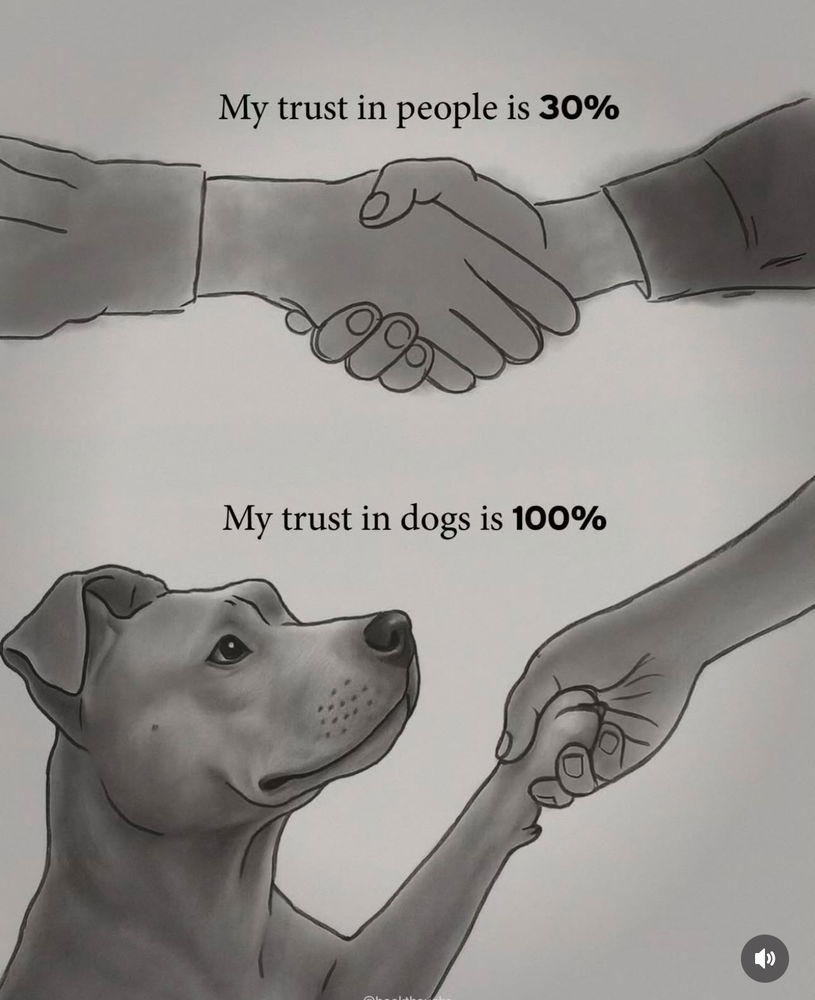 Trust
