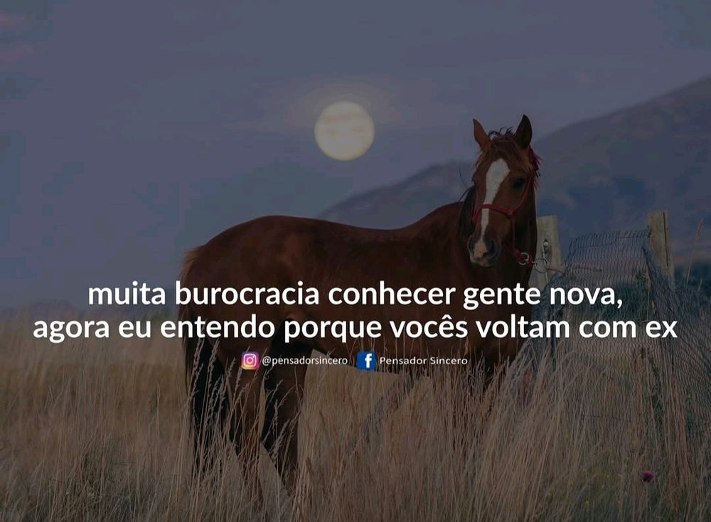 Melhor morrer sozinha 🤣
