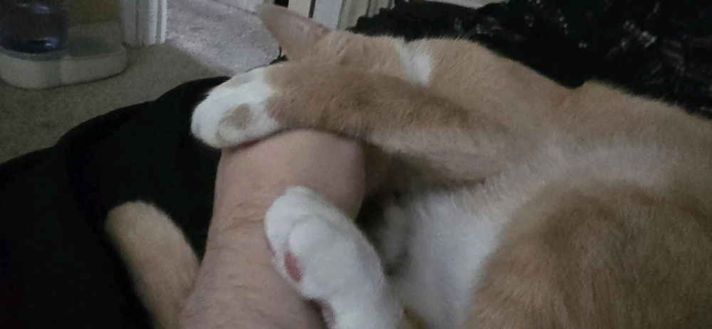 He likes having his face held