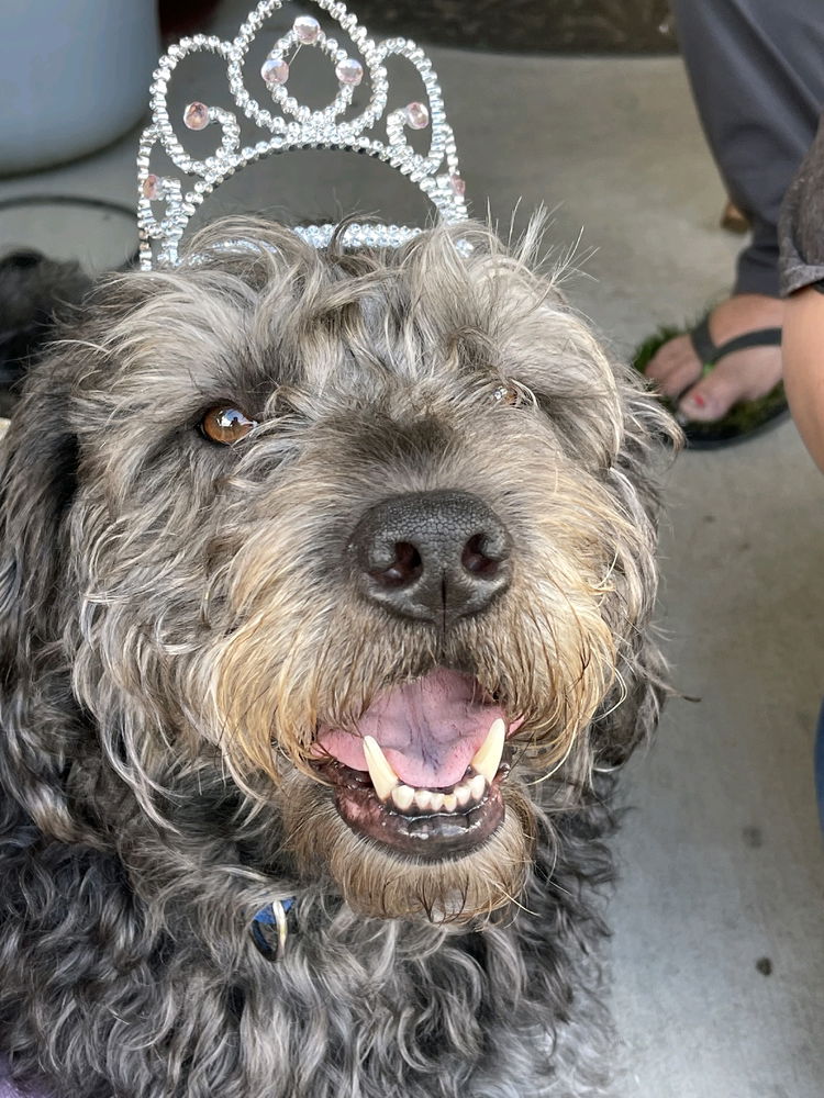 Princess Wrigley