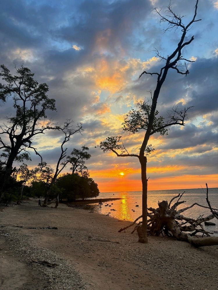 Beach with Sunset